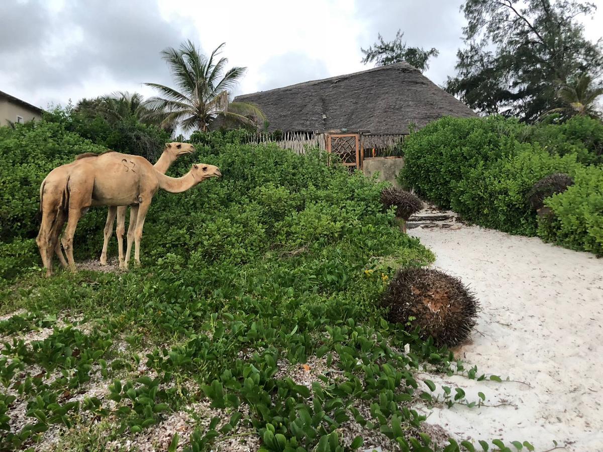 Sunset Beach Resort Watamu Exterior foto